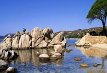 开云体育登录-金色眼泪沸腾时：当勇士梦断奥运，球迷的呐喊震碎星空