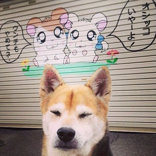 美加墨星空下的破茧时刻，福登一球羽化为蝶