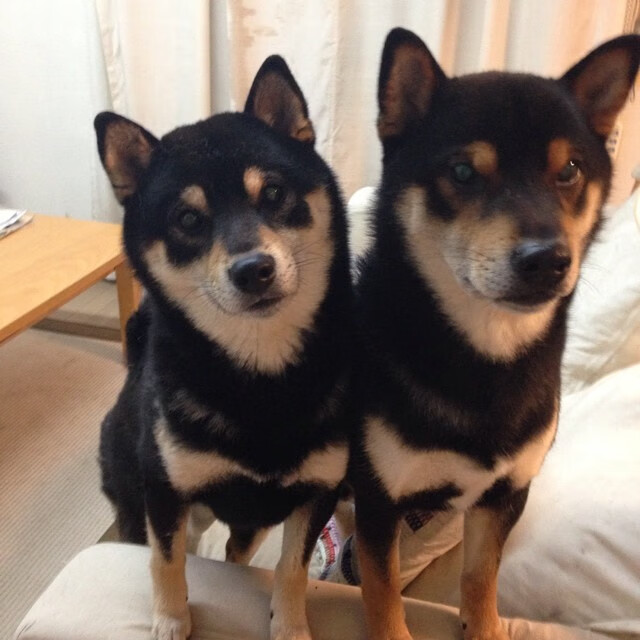 开云体育中国-封印之翼，当迪马利亚在德比之夜奏响防守乐章