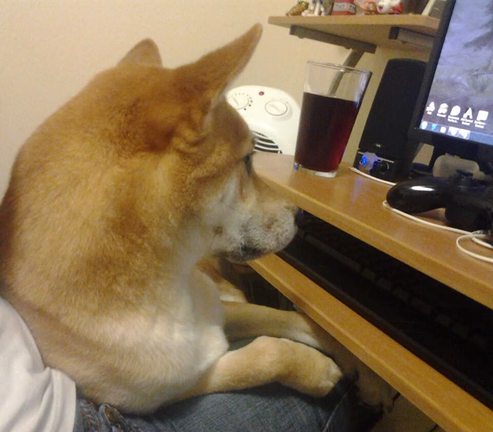 开云体育平台APP-摩洛哥收割加纳，库尔图瓦节奏完全掌控，足球场上的控制艺术