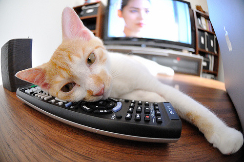 开云体育中国-生死十六分钟，奥利维耶风暴席卷末节，洪都拉斯在焦点大战中带走牙买加