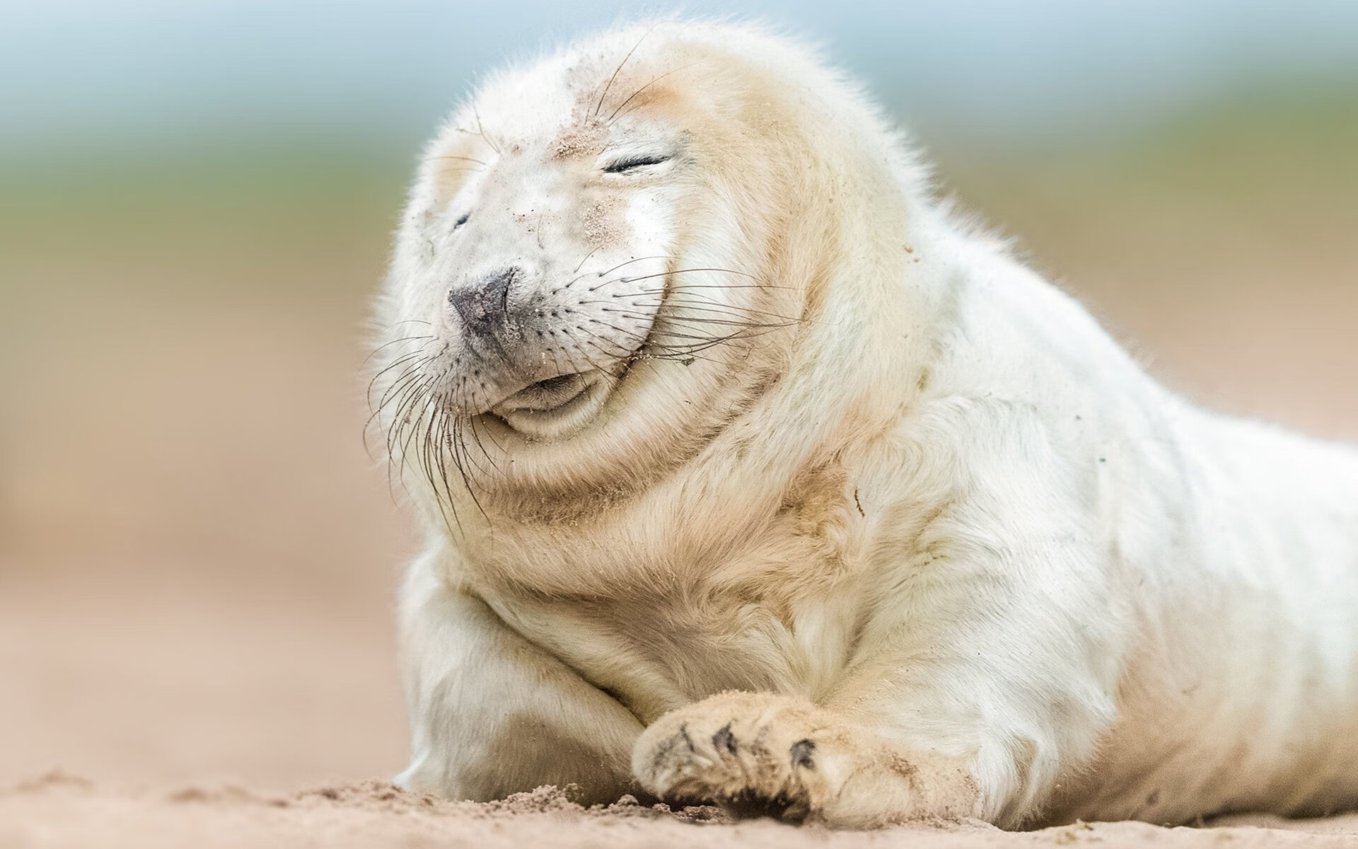 双子星闪耀,阿劳霍的钢铁防线与埃及之王的致命一击