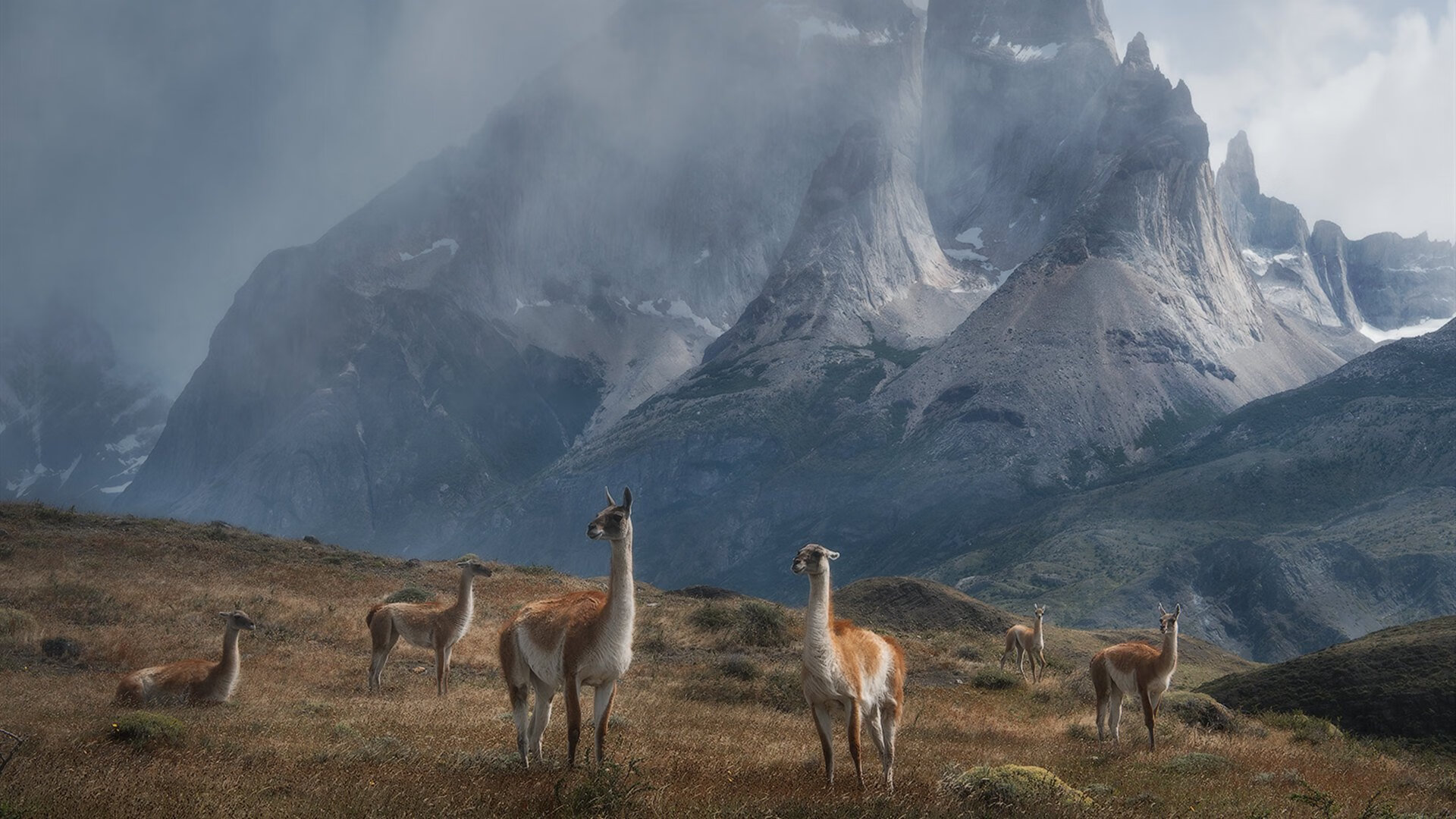 跨界风暴，马赛足球火力席卷奥地利，拉什福德奇迹转战F1年度争冠接管赛场